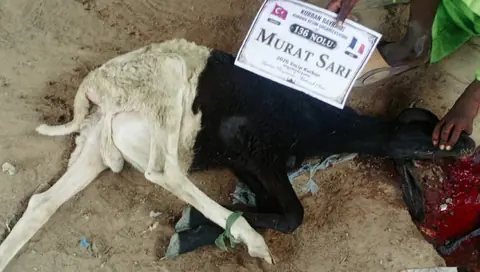 Kurban organizasyonu saha çalışması